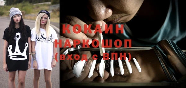 трава Новодвинск