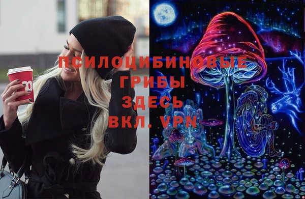 герыч Новозыбков