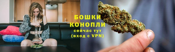 трава Новодвинск