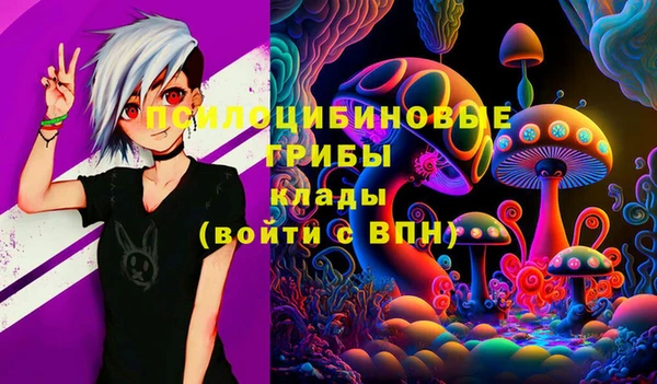 герыч Новозыбков
