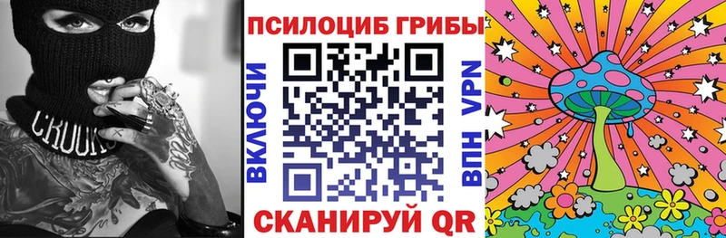 наркота Жиздра Псилоцибиновые грибы Magic Shrooms